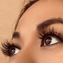 Load image into Gallery viewer, Lash N Pash